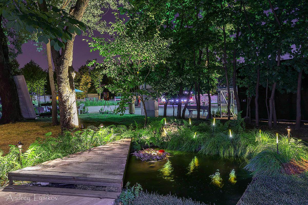 Наташа Дементиенко