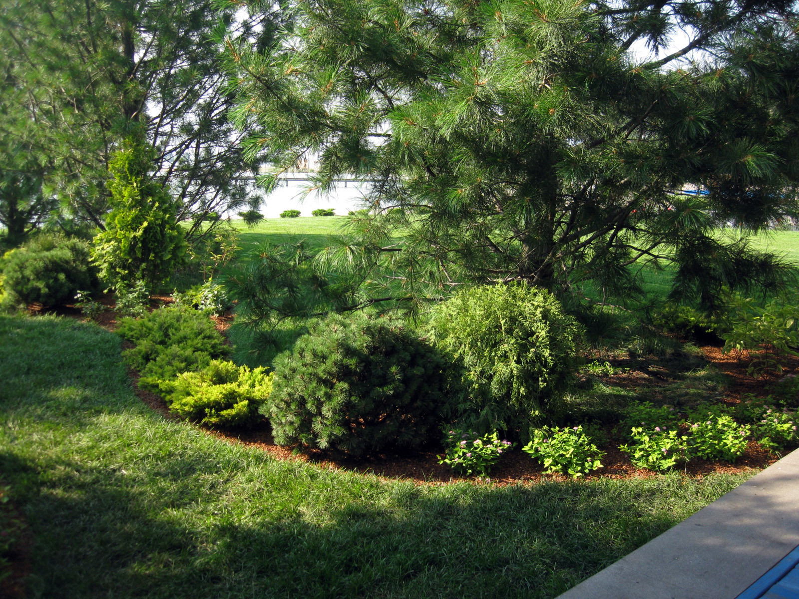 Декоративные посадки