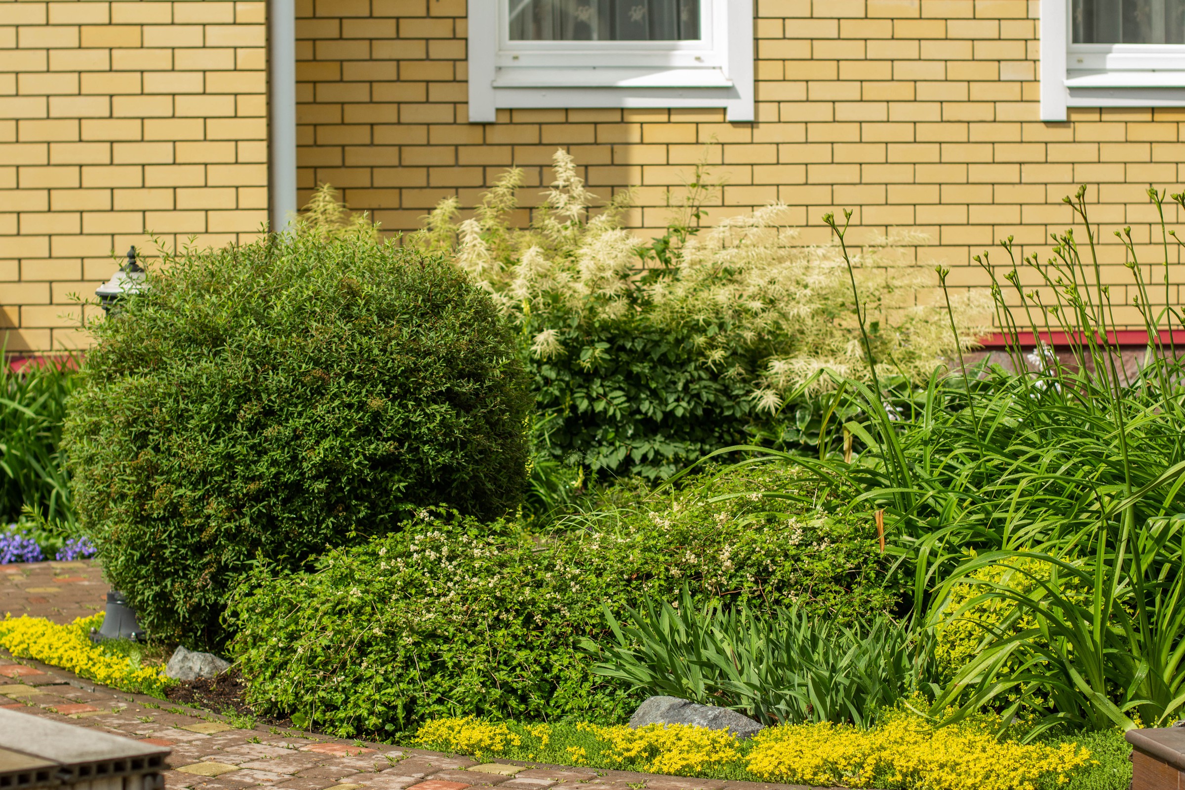 Сад с зеленой крышей