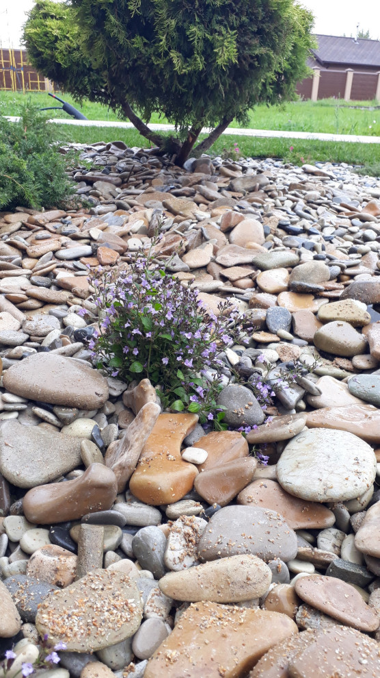 КП "Московское море"