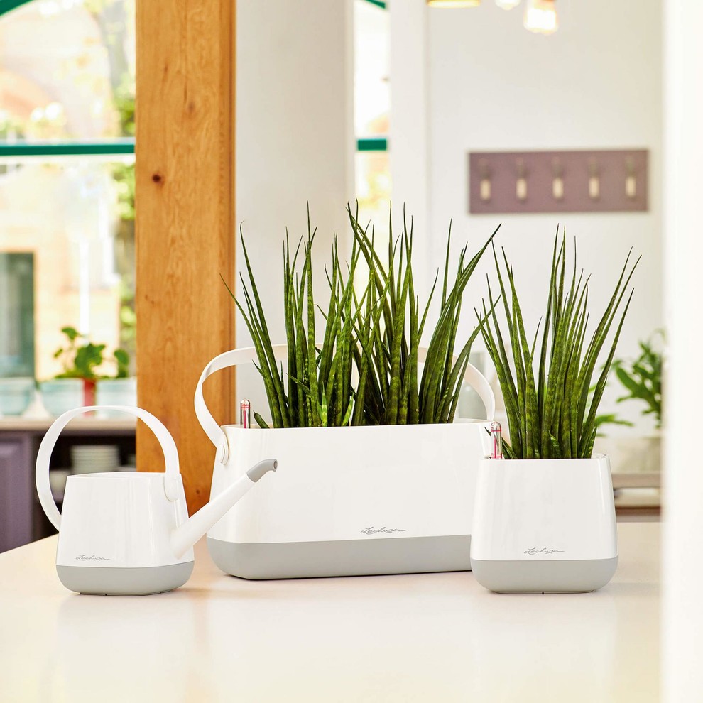 Насладитесь моментом