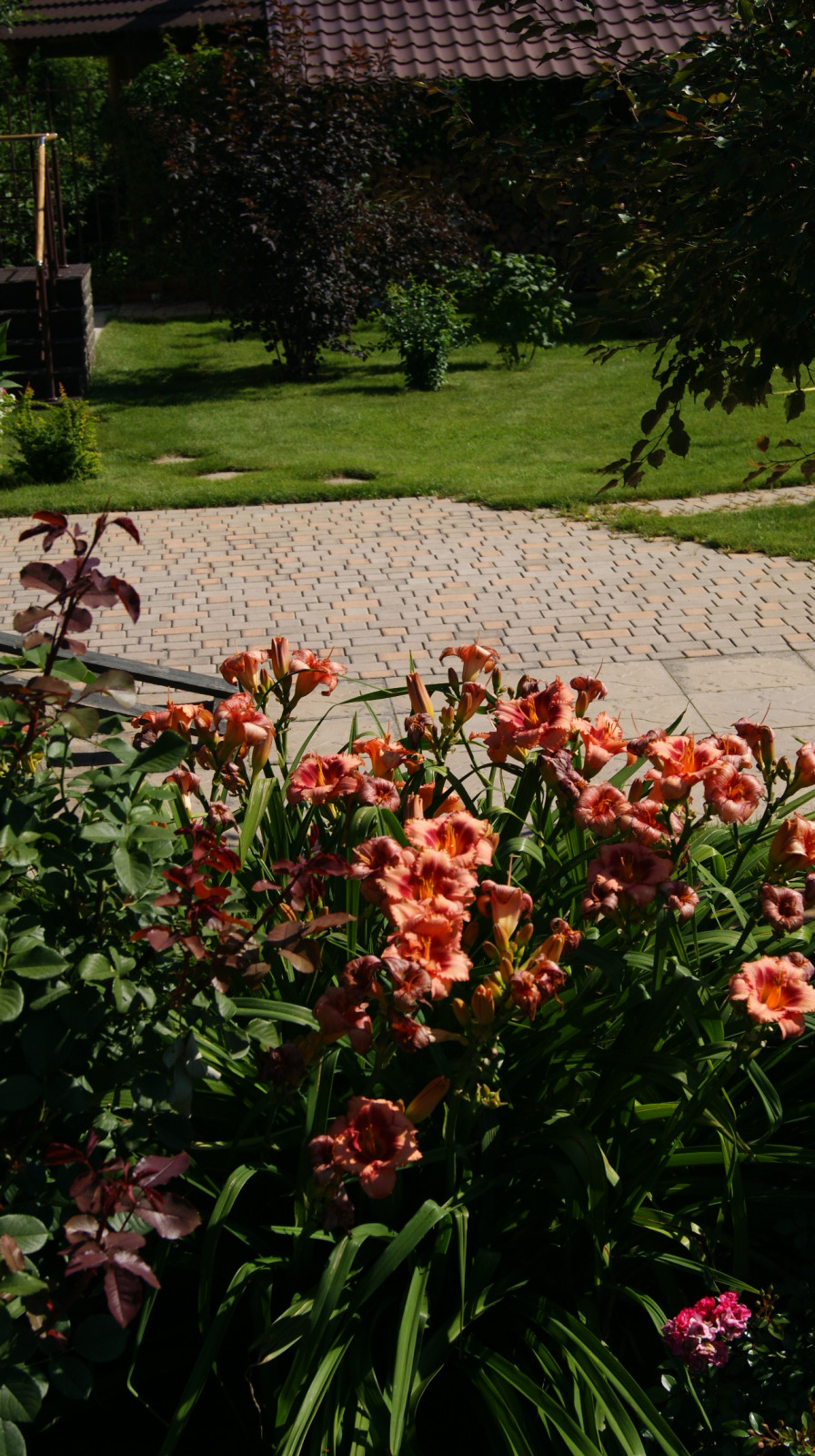 Сад "Европейская сдержанность"