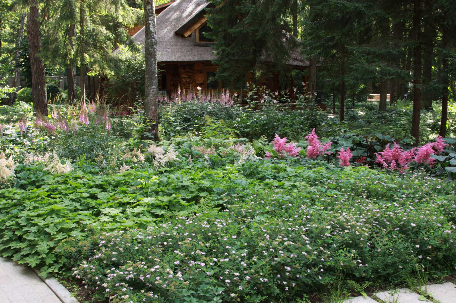 Теневые сады