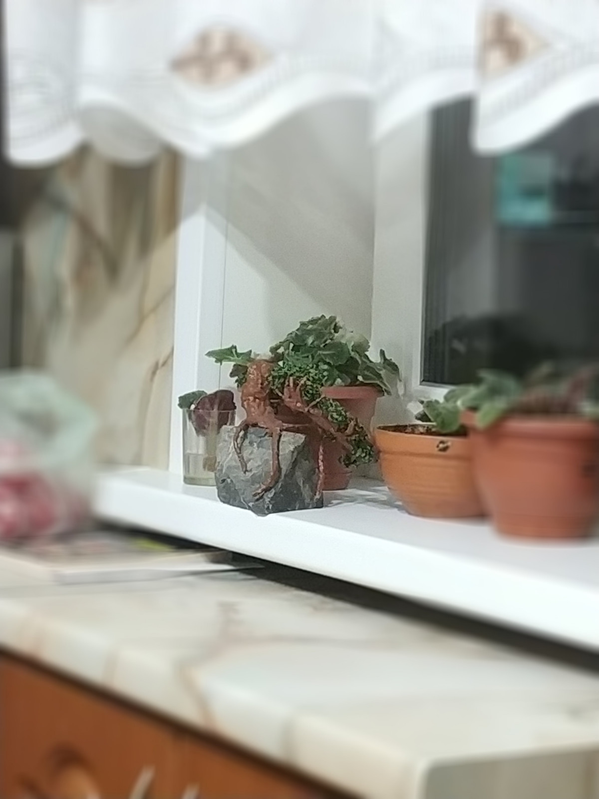 Unnamed Photo
