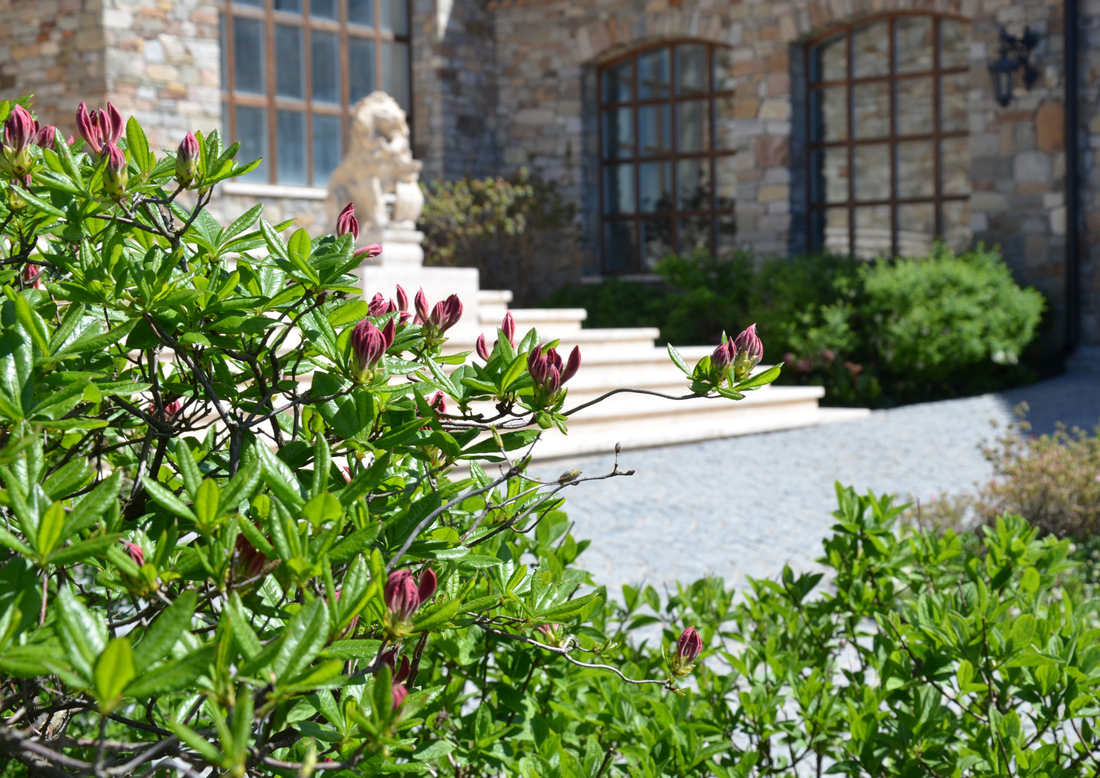 Итальянский сад в КП Европа 2013 г