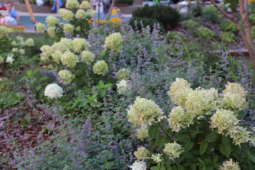 ЖК "Европейский"