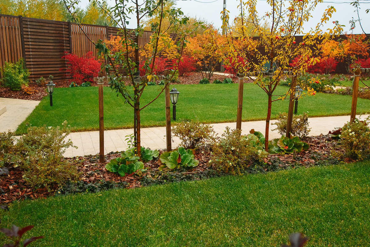 Сад с румянцем