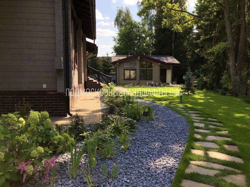 Лесные дали