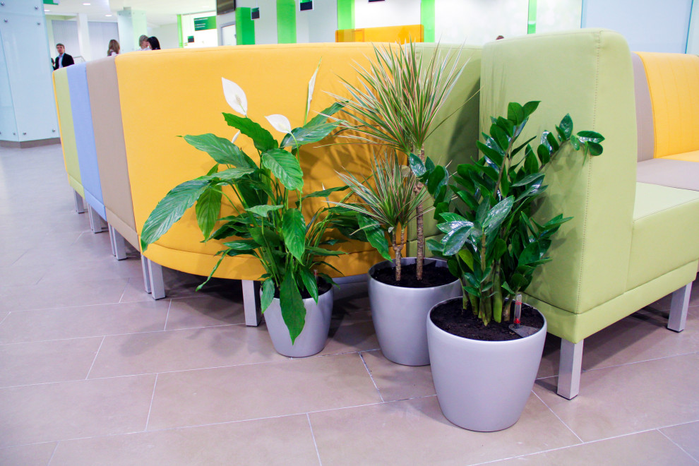 Калуга, Сбербанк, 2010 г.