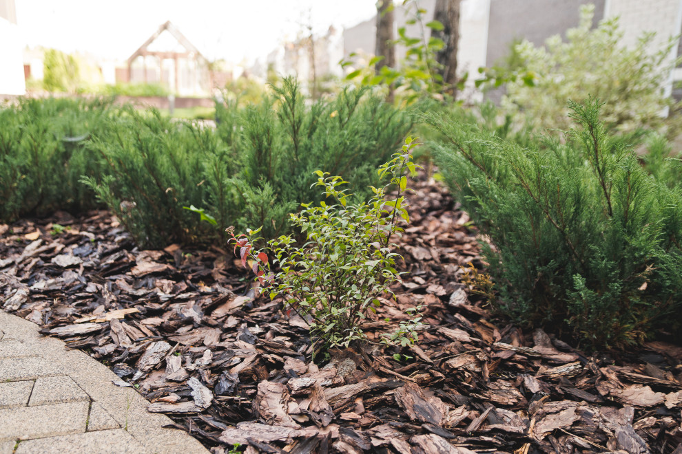 Сад на краю леса