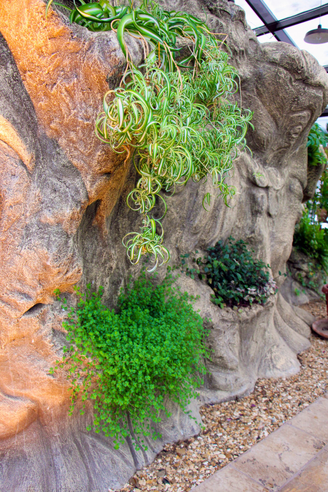 Тарасовка, зимний сад, 2012-2013 гг.