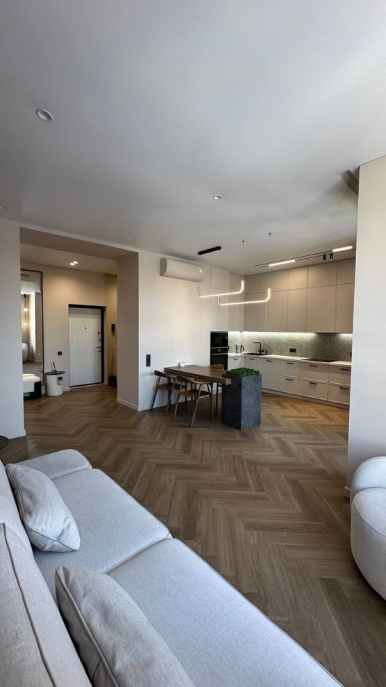 Двух комнатная квартира в стиле эко минимализм. 2023-24 г