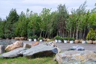 Игорь Олейник