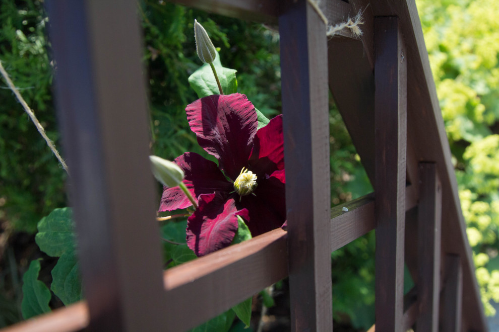 Деталь озеленения