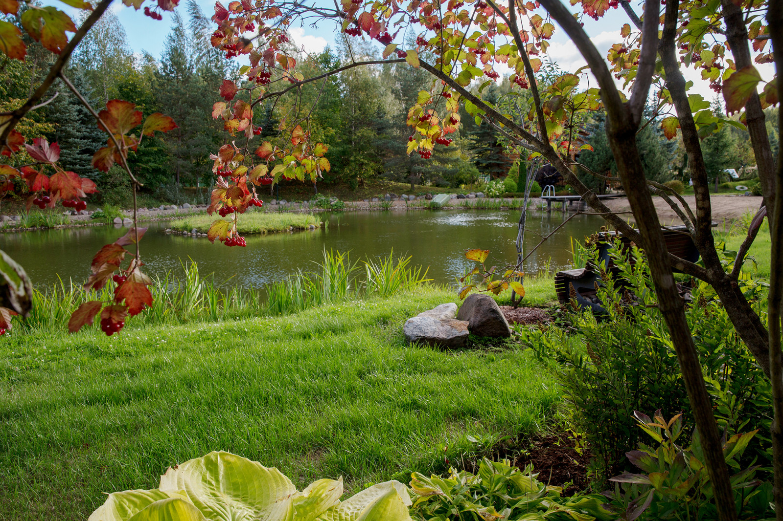 Парк в  Шаховском районе