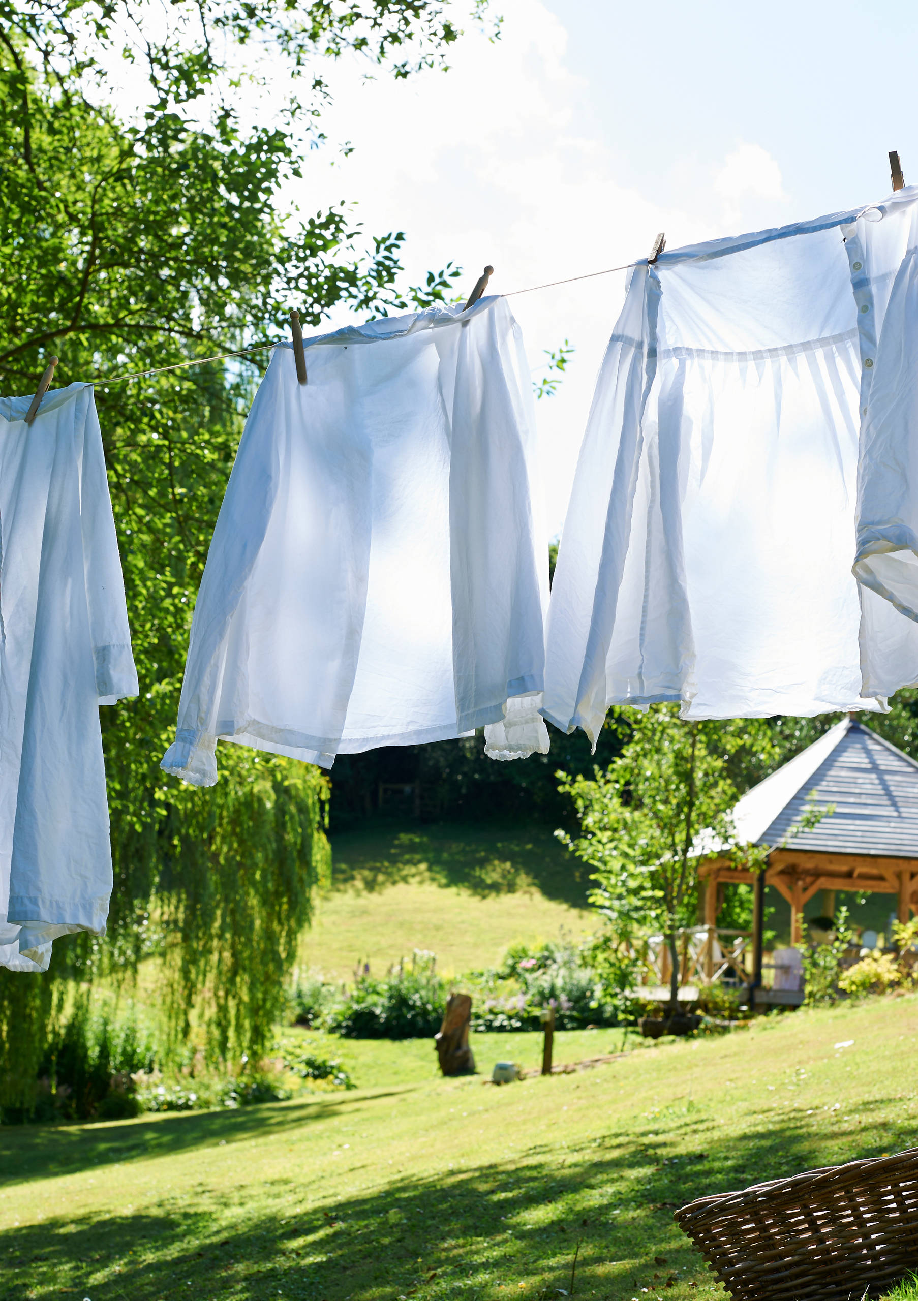 Личный опыт: Как моя семья переехала из столицы за город