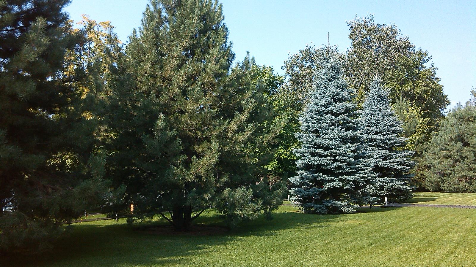 Строгость мужского ландшафта
