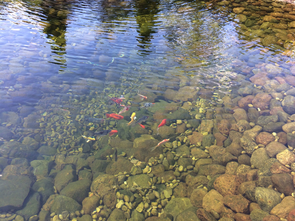 Обложка проекта: Ленобласть