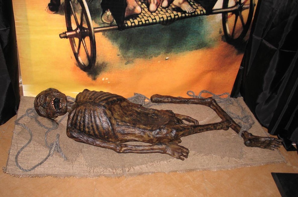 Передвижная выставка "Египетские мумии. У истоков времён"