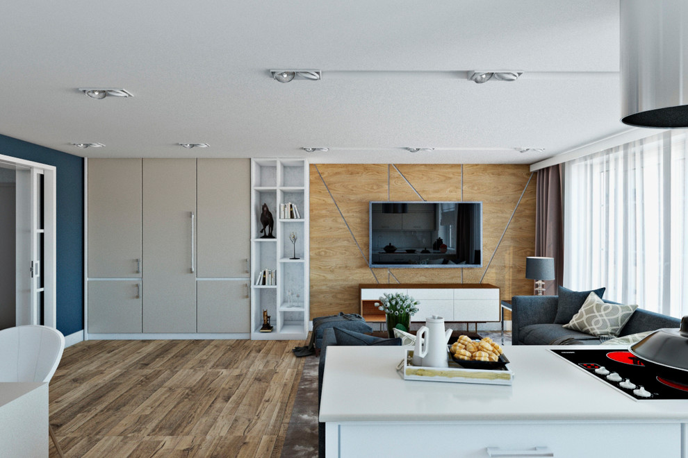 Обложка проекта: квартира - студия