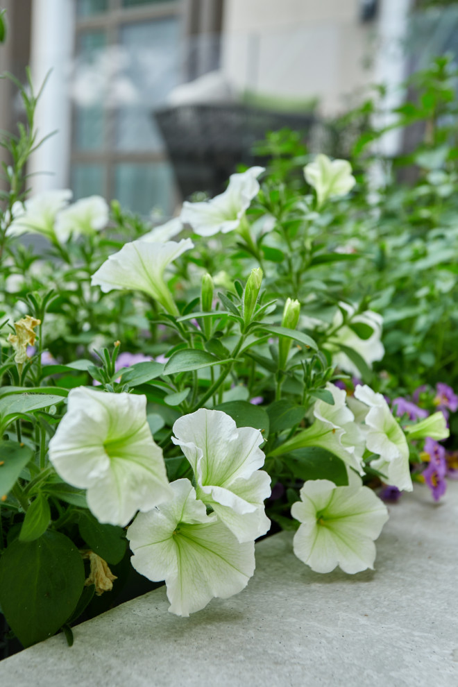 Проект "Современный сад"