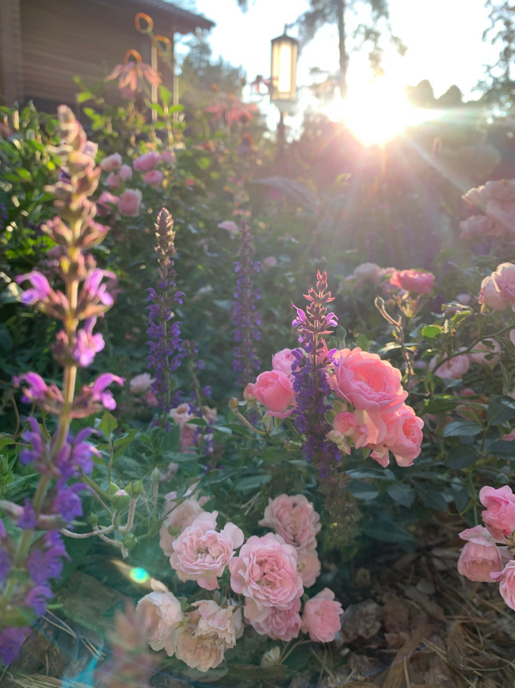 Таргайские усадьбы