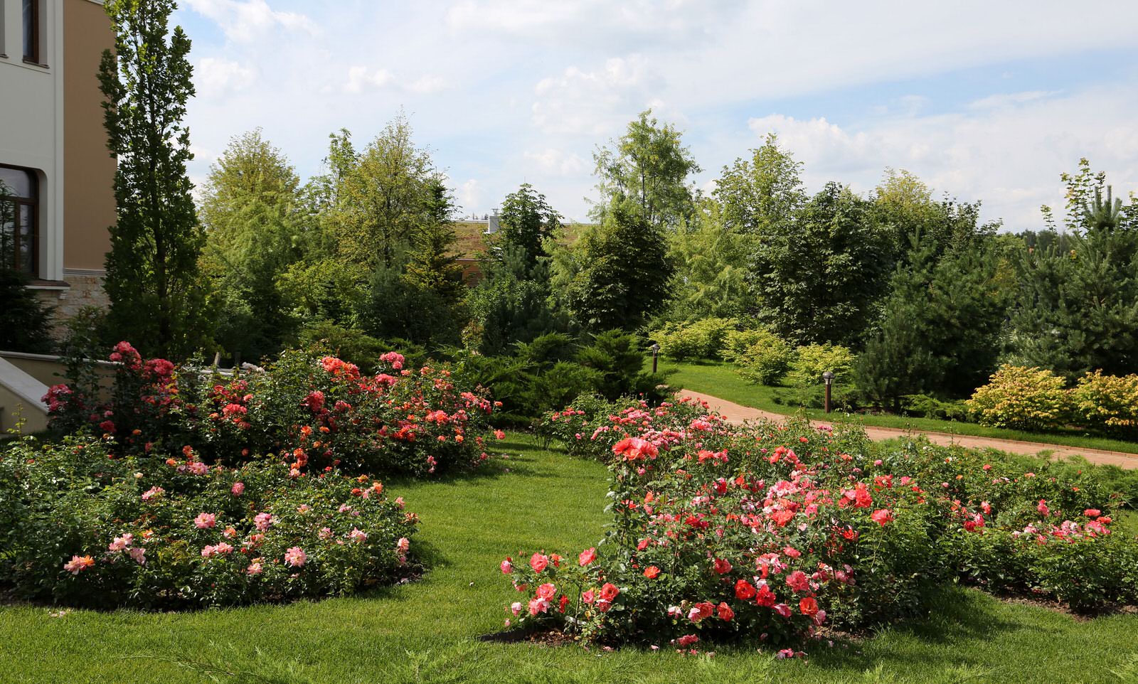 В центре круга