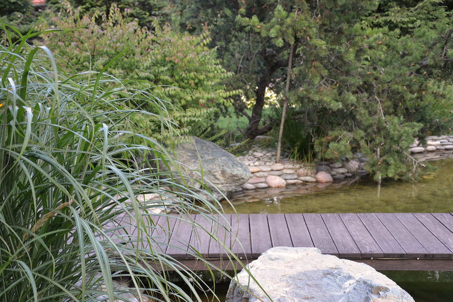 Ландшафтный сад с прудом в КП "Европа"