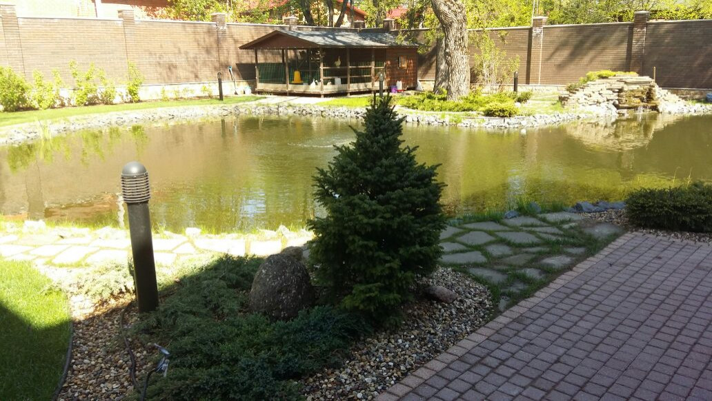 Оформление береговой зоны