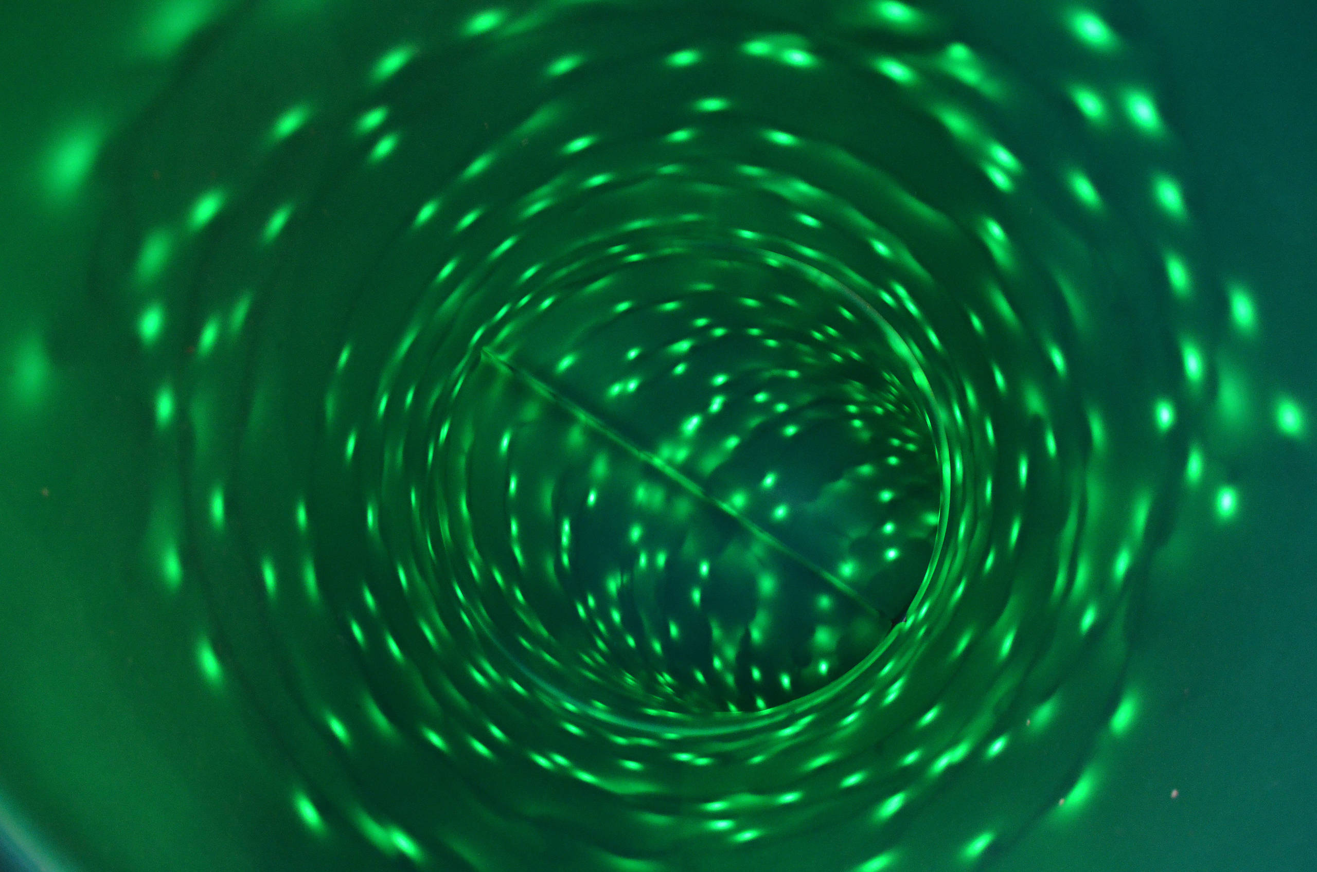 Houzz США: Волшебный дом на дереве с новогодними огнями