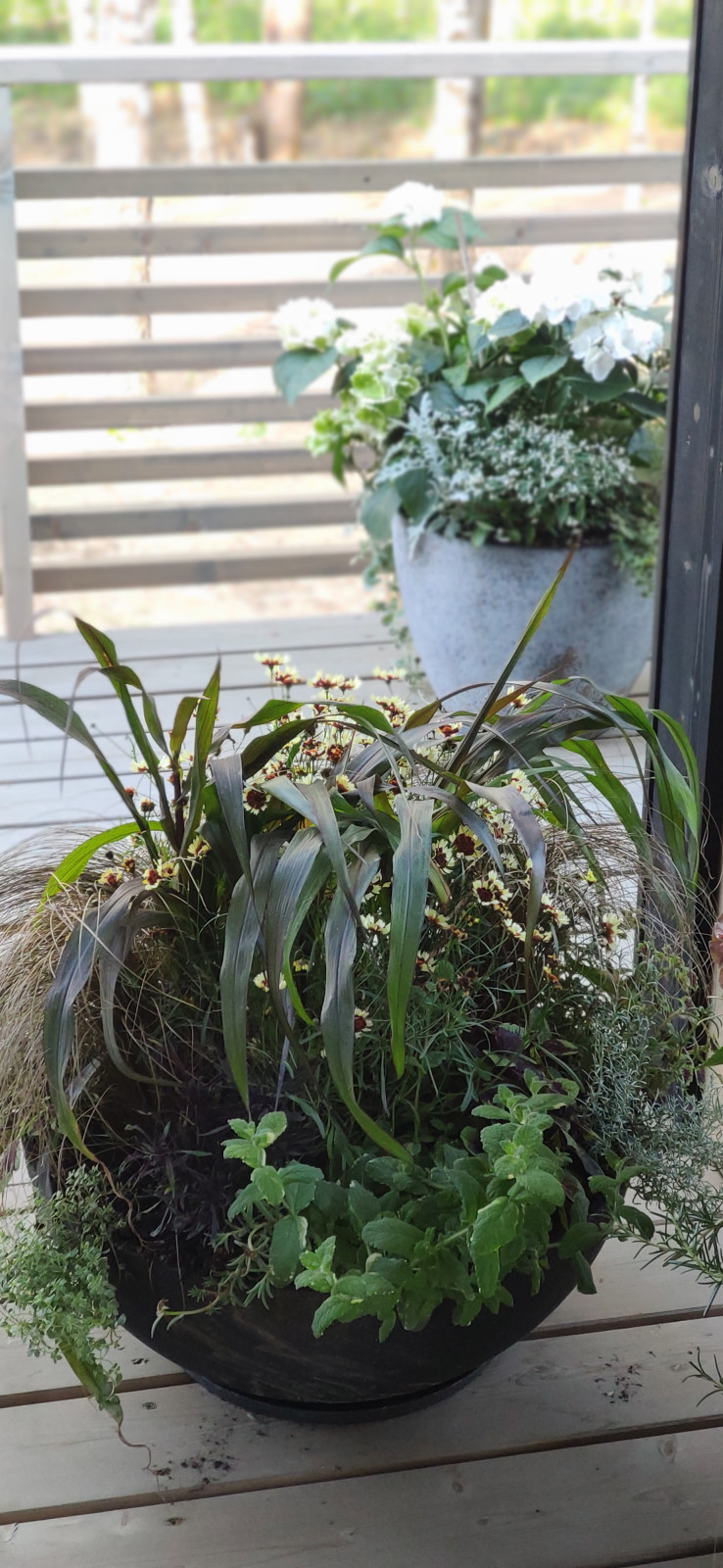 Проект " В тонких линиях "