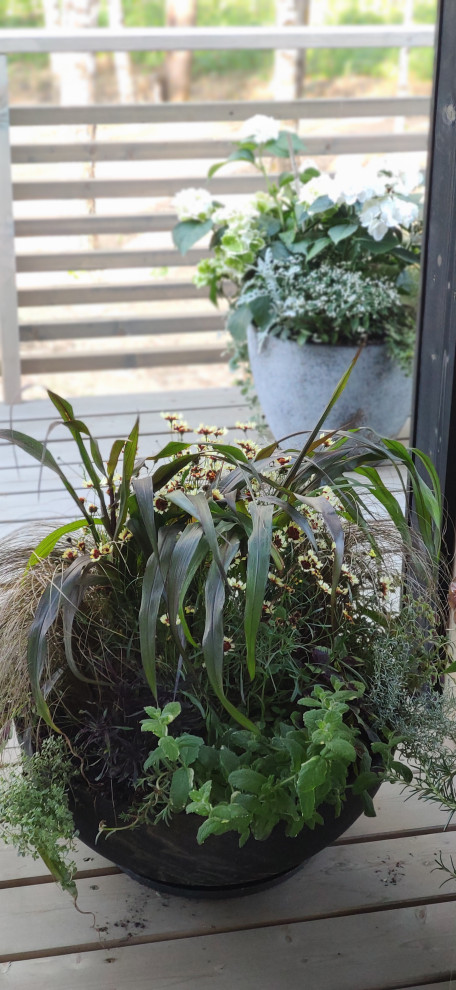 Проект " В тонких линиях "