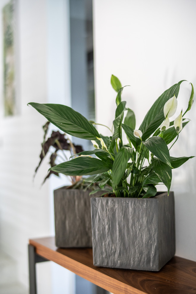 Обложка проекта: Fito-diseño