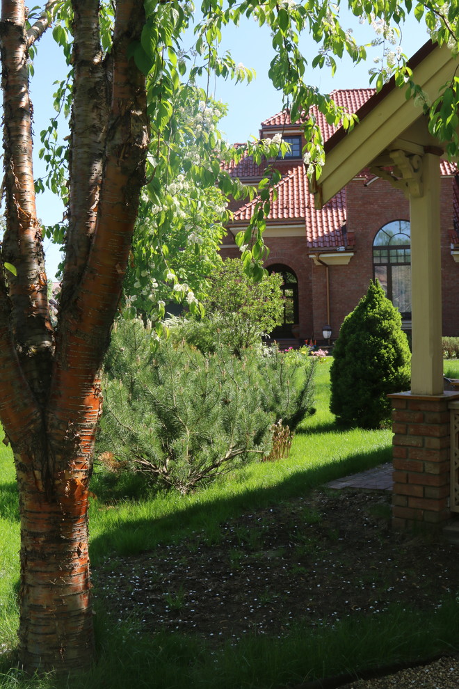 Бельгийка 01