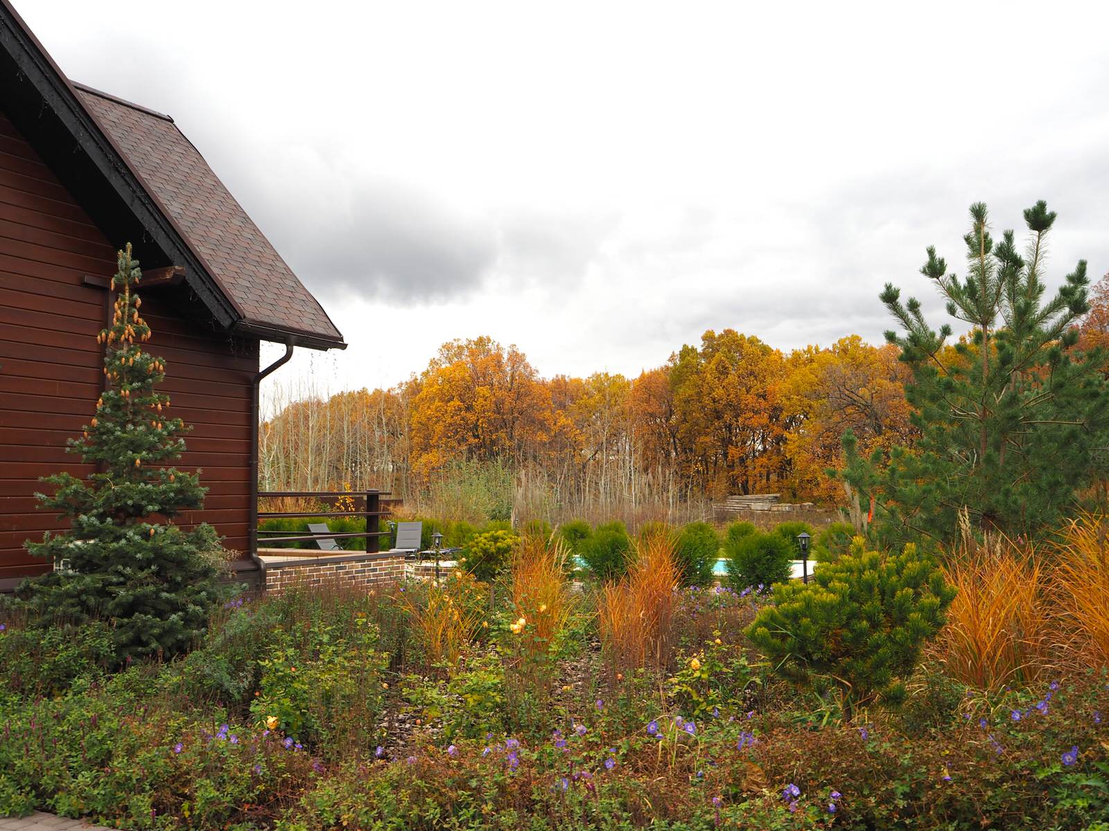Обложка проекта: Сад с водоёмом