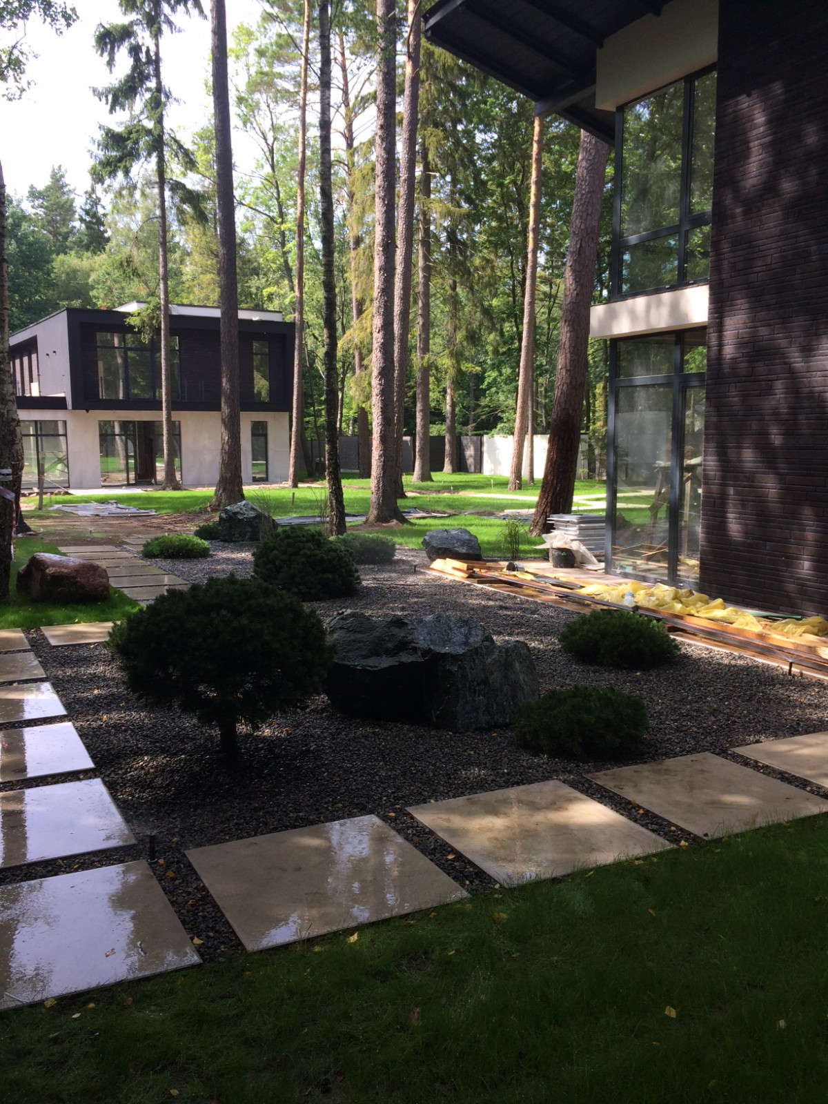 Обложка проекта: Сад в Светлогорском лесу