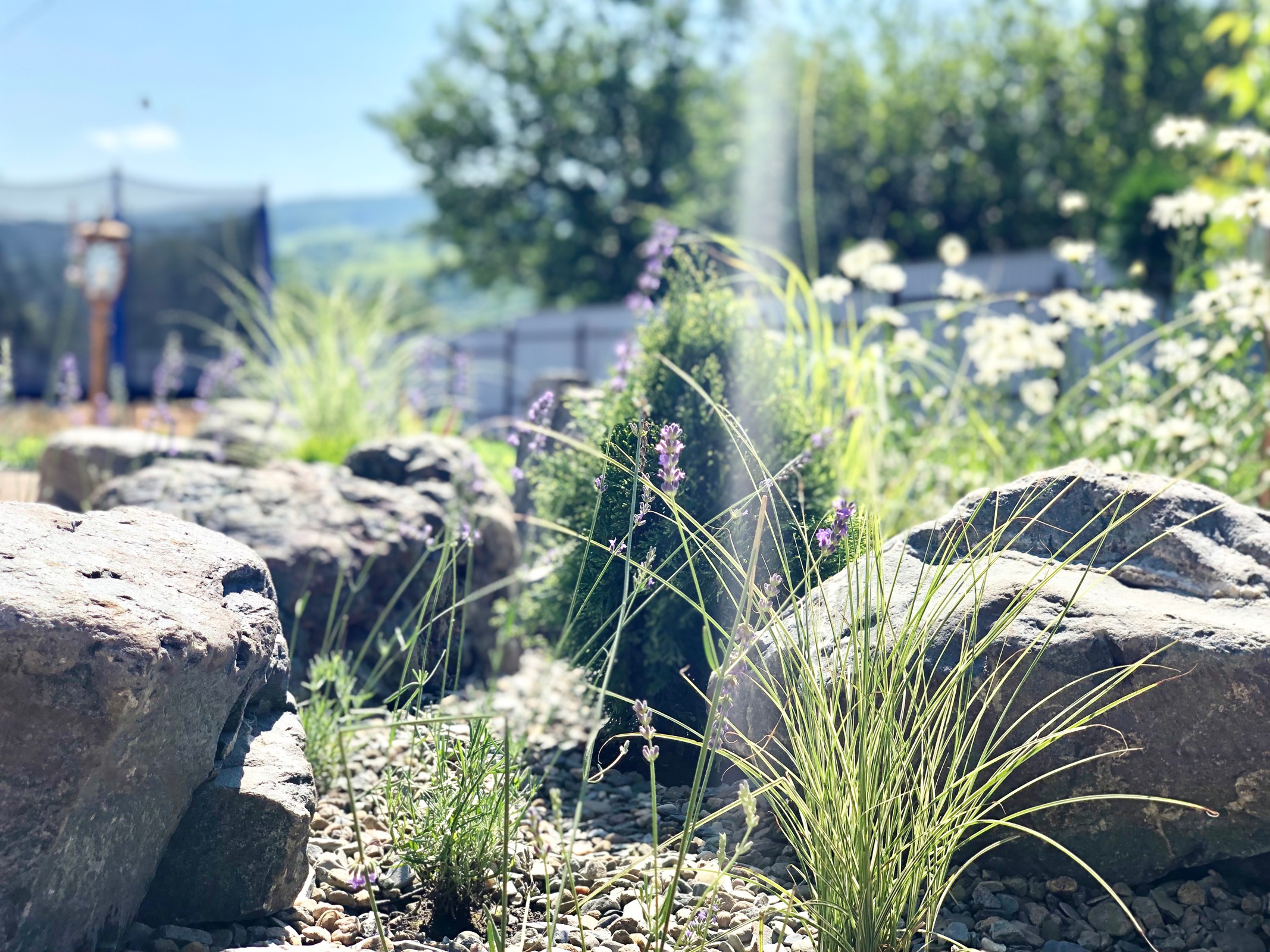 Привет, станица!