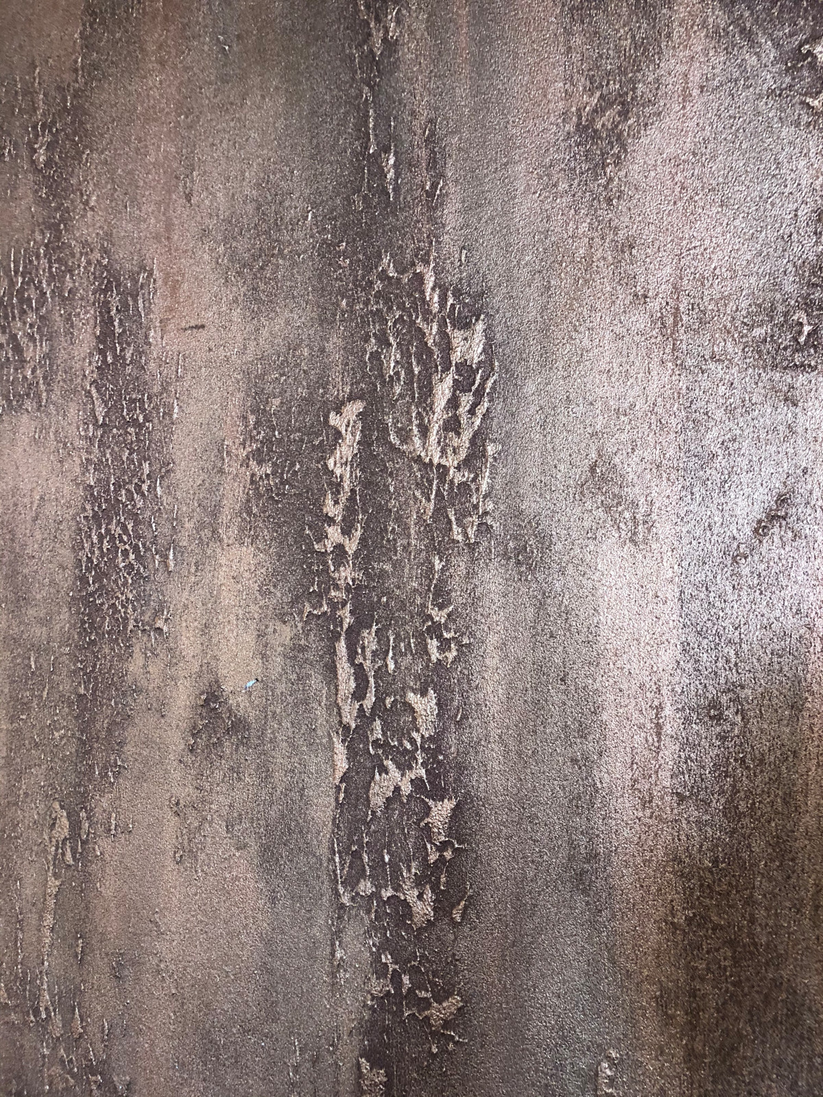 Евгений Волов