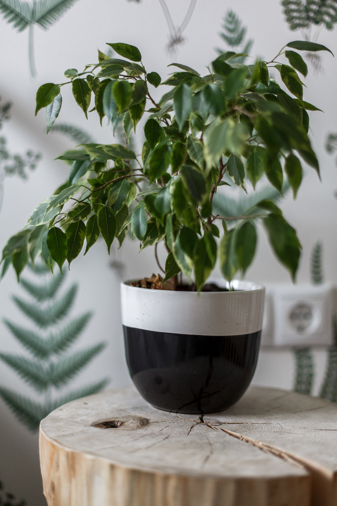 Квартира с двумя спальнями в Протвино