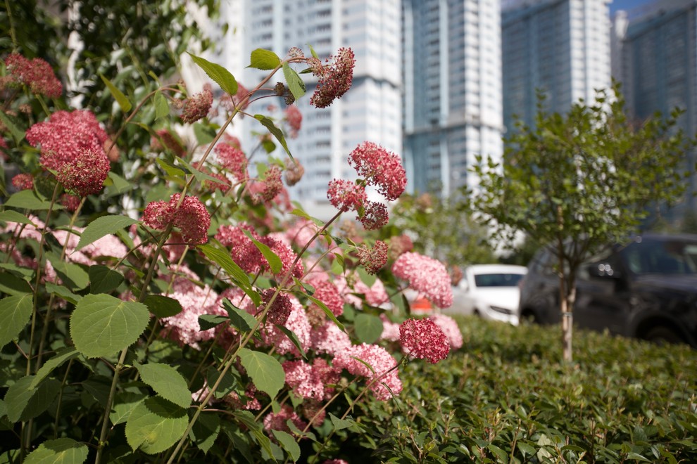 Оформление входа в подъезд многоквартирного дома на Ходынке ЖК "Гранд парк"