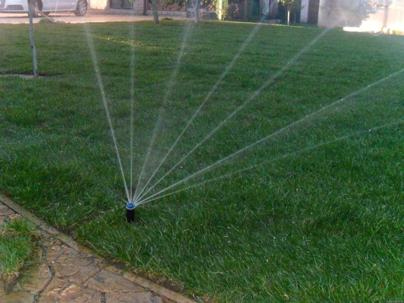 Системы автоматического полива