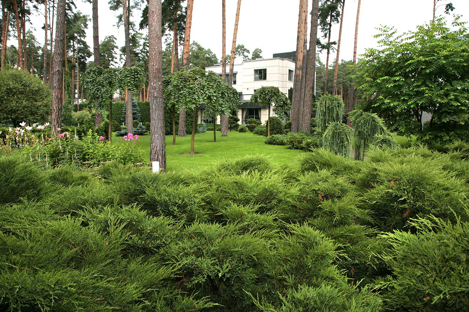 Ландшафтный сад в Горках 2