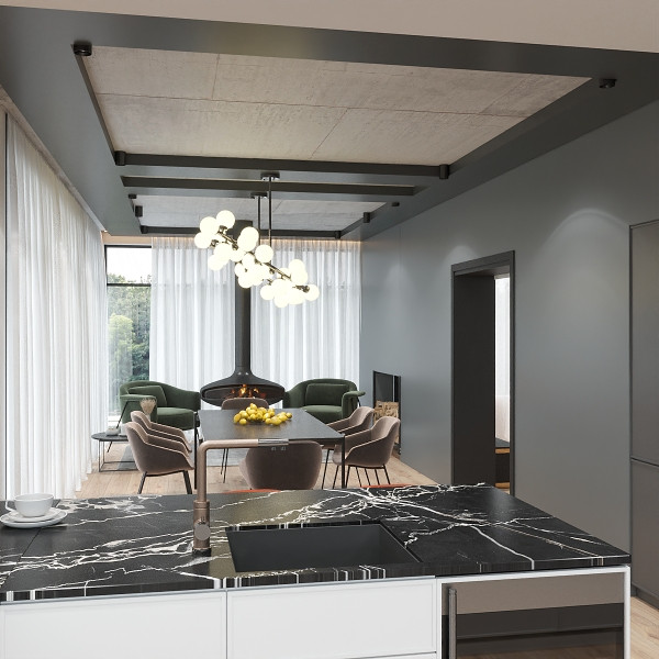 Большой дом