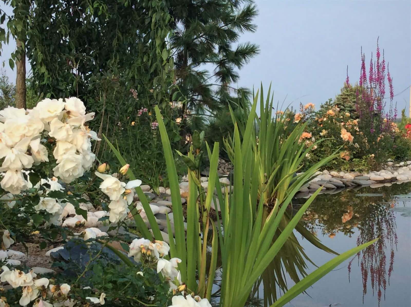 СНЫ О ЧЕМ_ТО БОЛЬШЕМ...