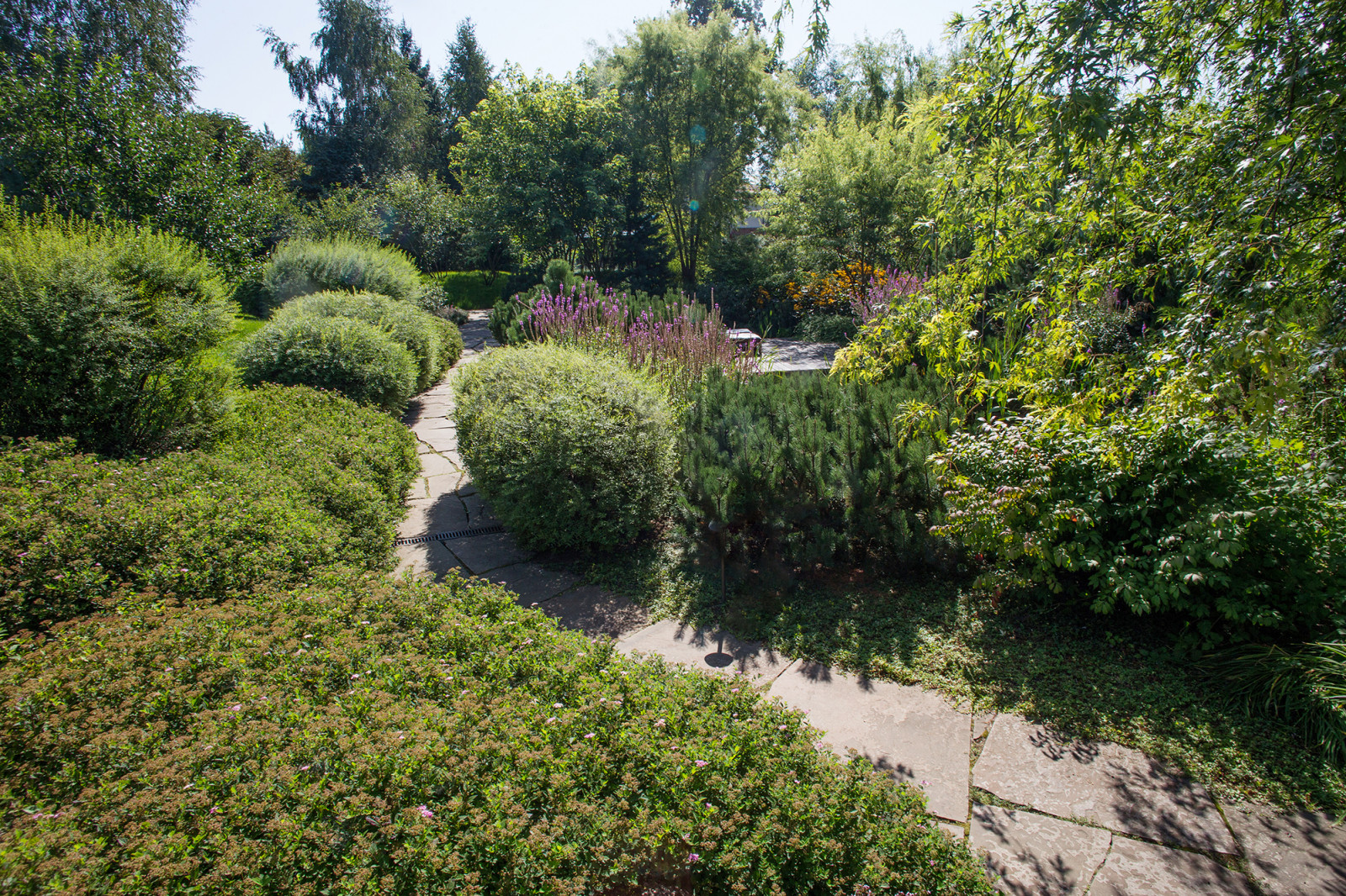 Garden of Elena Astashkina in Moscow Region