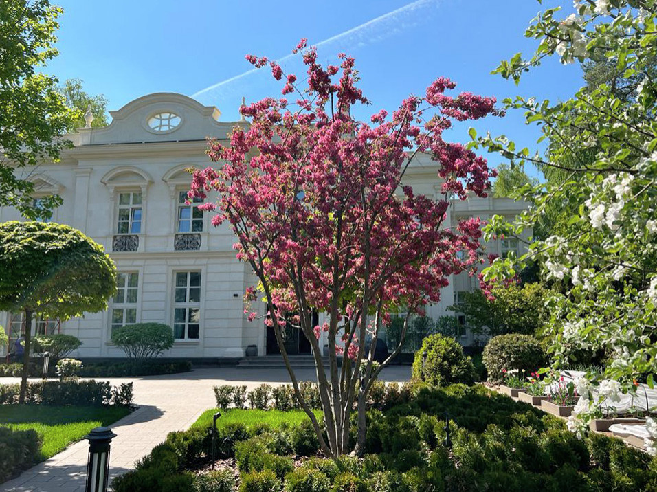 Французский сад. Опалиха. 2021 г.