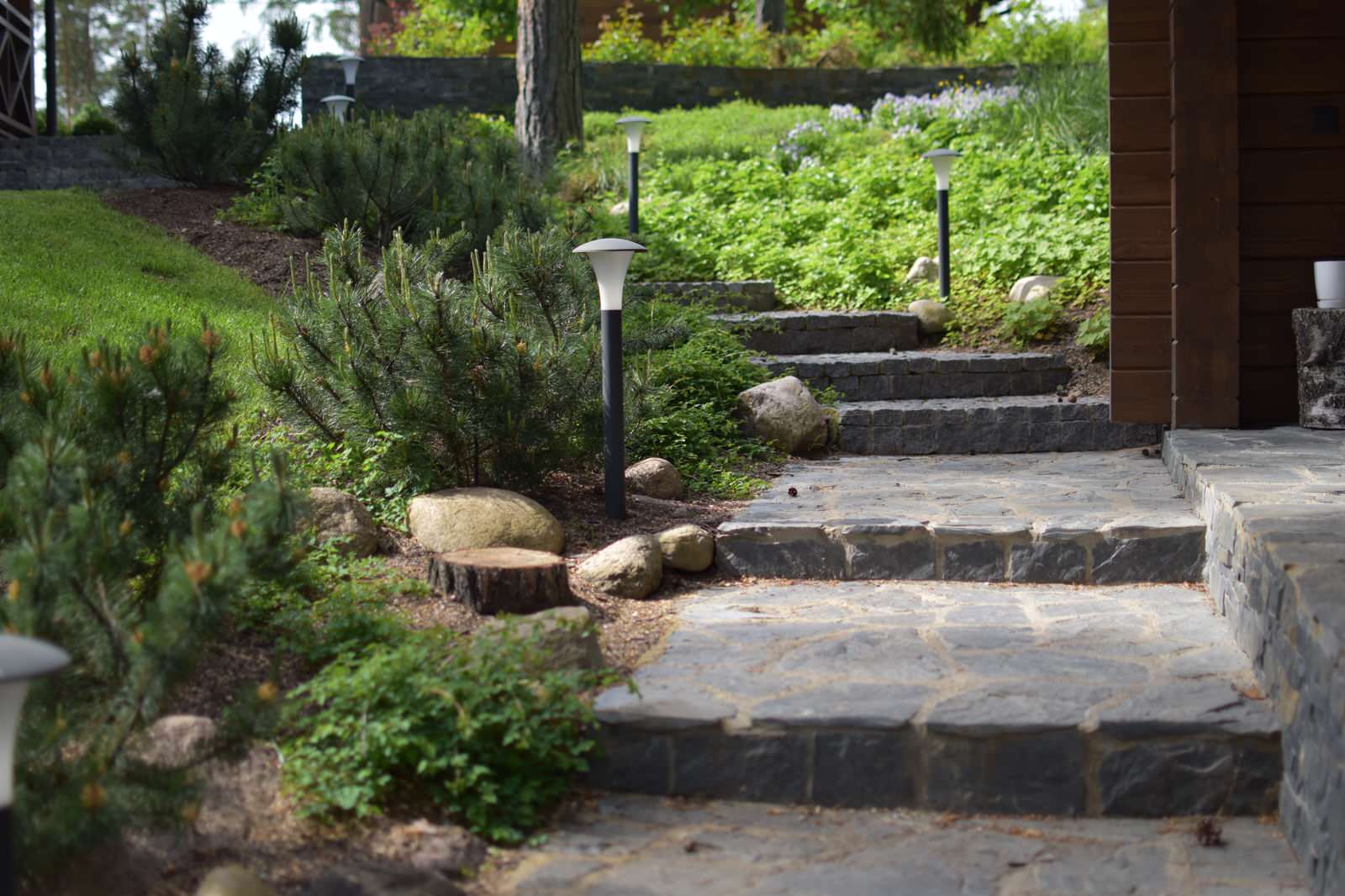 Сад в Карельском лесу