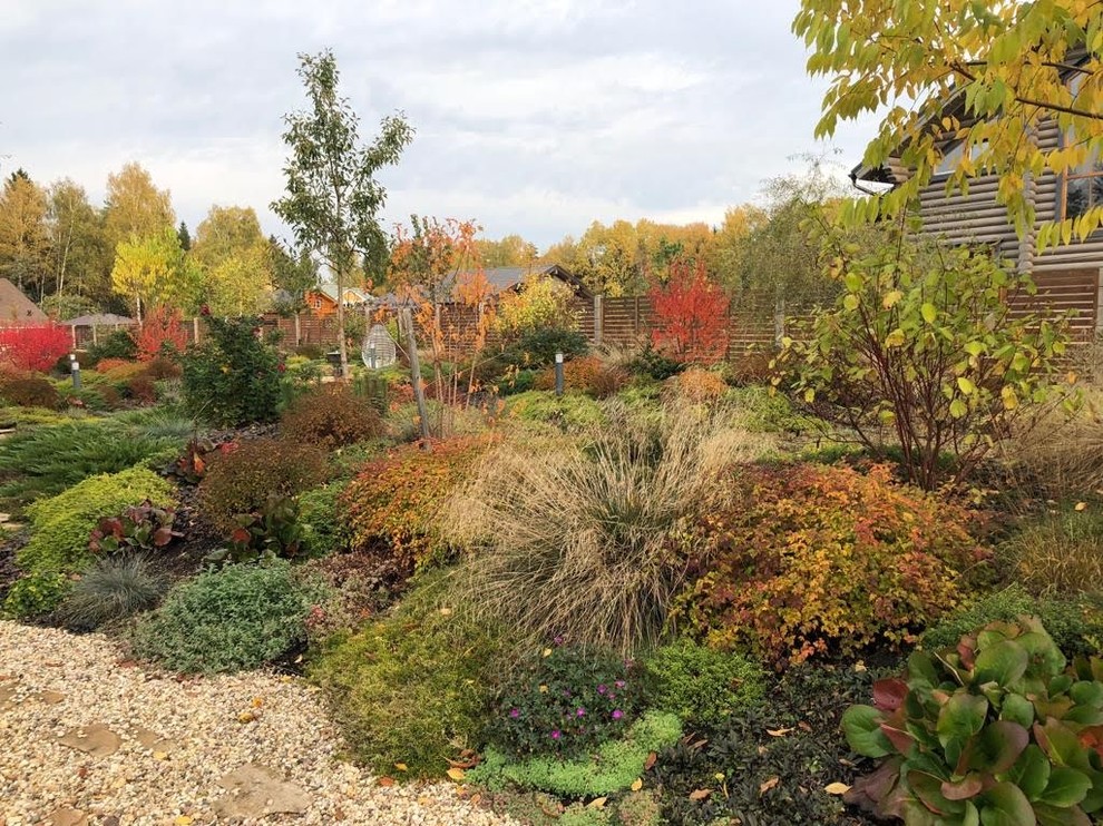 ЯГОДНОЕ ЛУКОШКО. ОСЕНЬ 2018