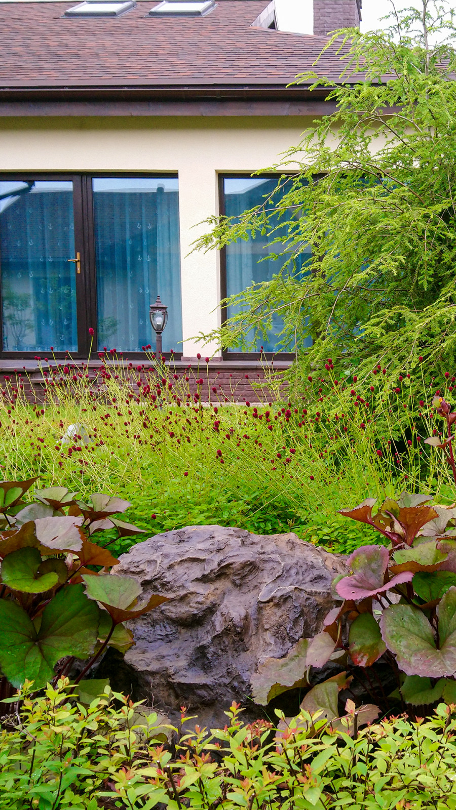 Обложка проекта: Цветники