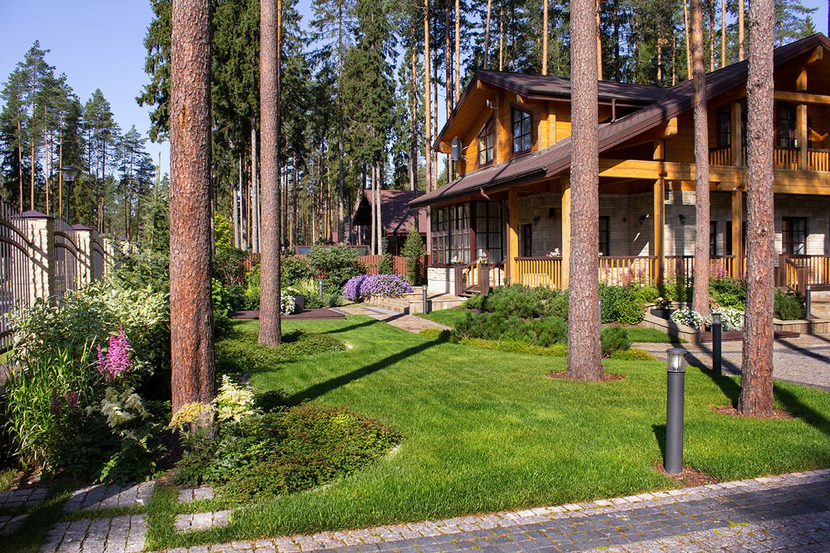 Еловая аллея